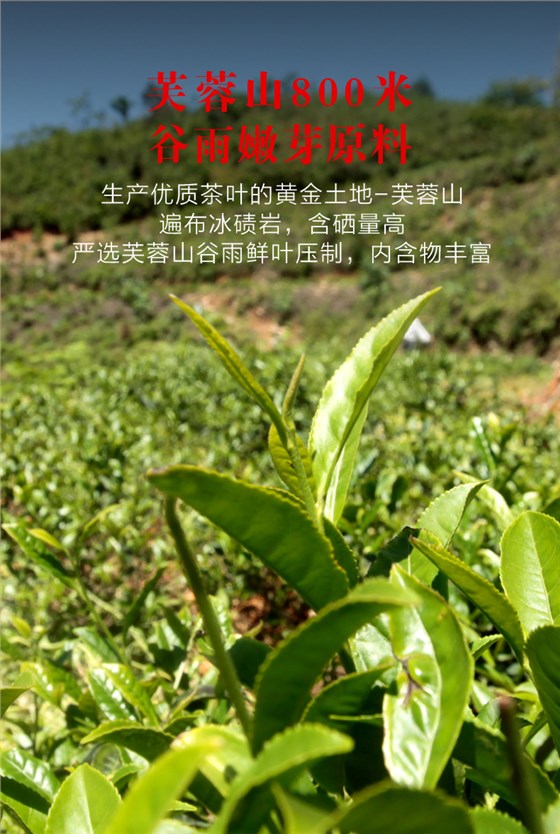 黑茶加盟,黑茶厂家,黑茶定制,黑茶批发,黑茶代理 (4)