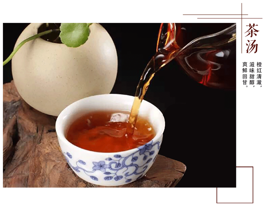 湖南黑茶茯茶怎么喝？教你快速学会品茯茶！